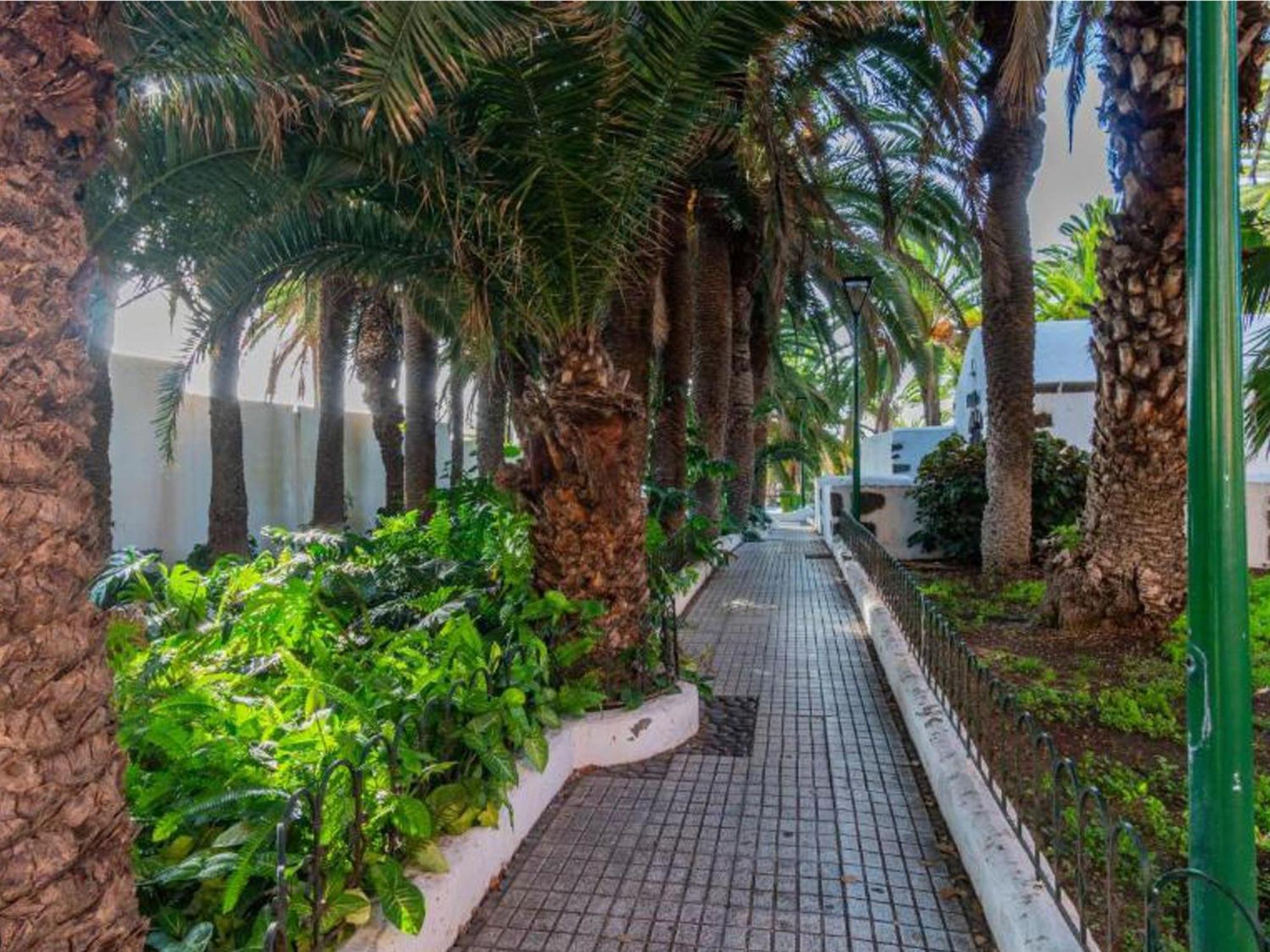 Live Puerto Valle Luz Puerto de la Cruz  Zewnętrze zdjęcie